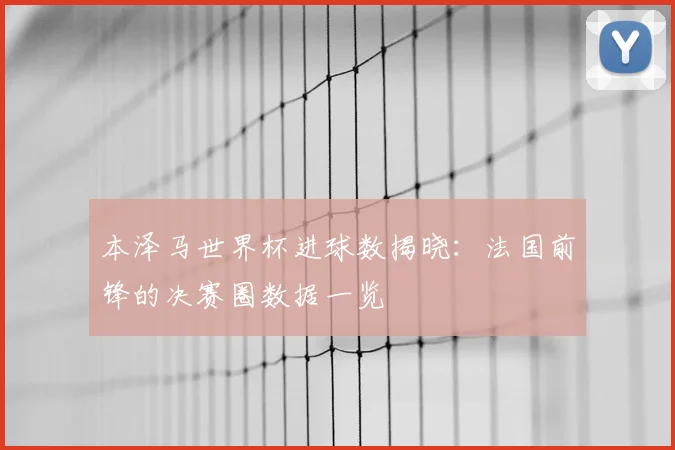 本泽马世界杯进球数揭晓：法国前锋的决赛圈数据一览