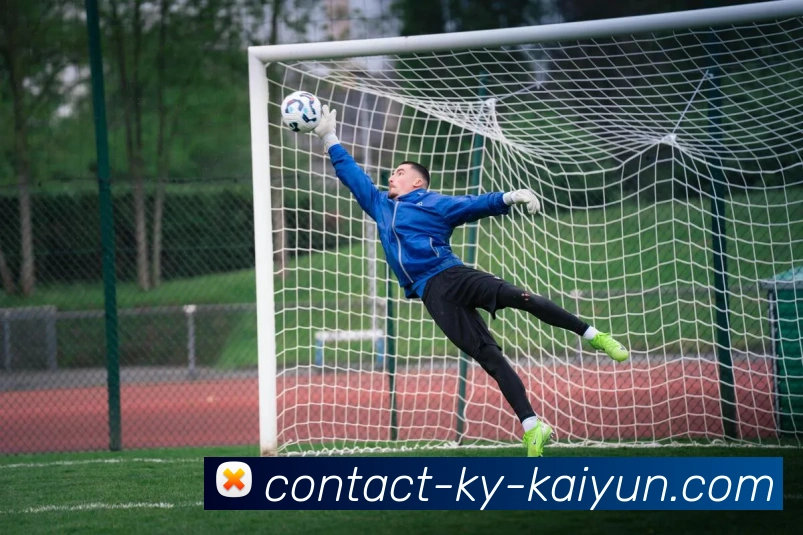 开云app服务体系